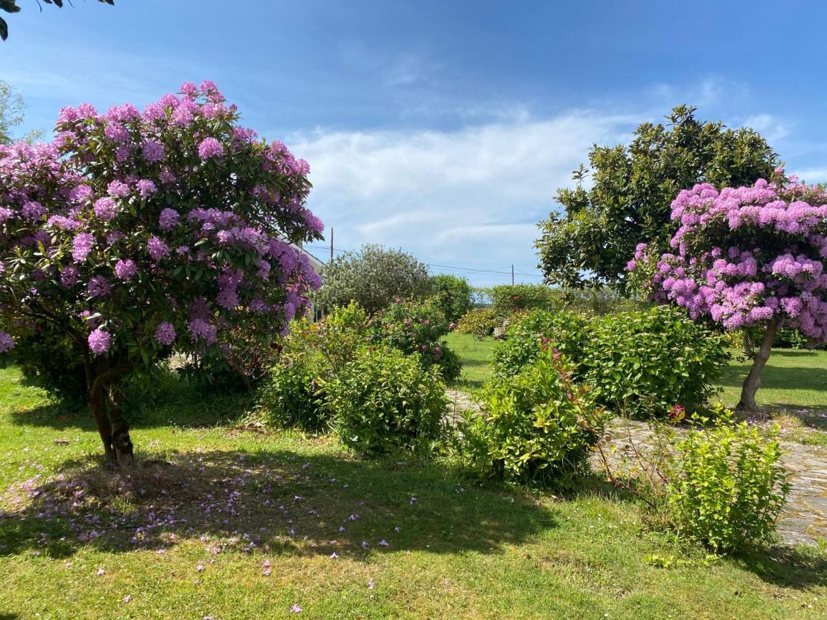 Villa Casa Quintana à Salamir Extérieur photo